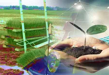 Training for the Future: New Approaches to Professional Advancement and Development